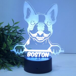 lampara-led-personalizada-mascota