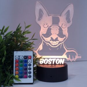 lampara-led-personalizada-mascota